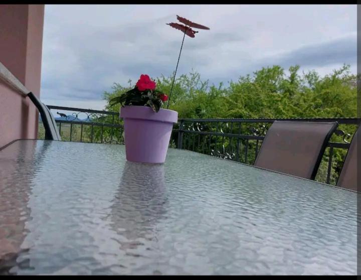 Apartman Hope Zmijavci Exteriér fotografie